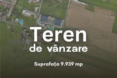 Teren de 9939 mp, în Micălaca - 5