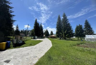Teren de 9550 mp, în Dorna Candrenilor - 9