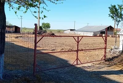 Casă cu 4 camere cu Teren 4200 Mp în Râmnicelu