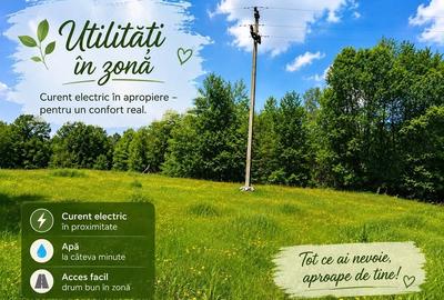 Teren de 4513 mp, în Rugetu (Slătioara) - 2
