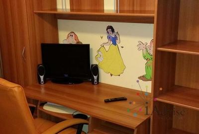 Apartament cu 2 camere semidecomandat în Noua - 3