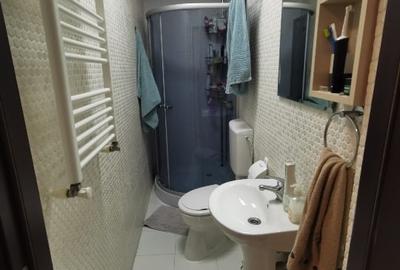 Apartament cu 3 camere semidecomandat, mobilat în Drumul Taberei - 7