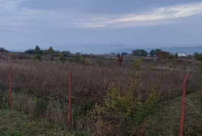 Teren de 1560 mp, în Valea Lupului