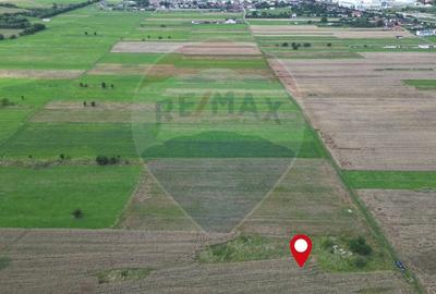 Teren agricol intravilan de 1180 mp, în Sud - 5