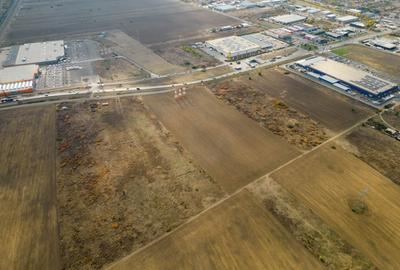 Teren agricol extravilan de 55340 mp, în Micălaca - 17