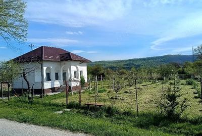 Casă cu Teren 1500 Mp în Crâmpotani - 2