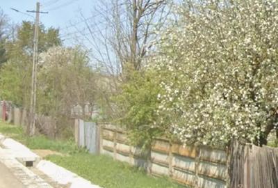 Casă cu 1 camere cu Teren 6250 Mp în Filipești - 3