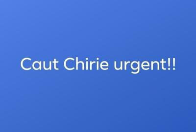 Garsonieră în Central
