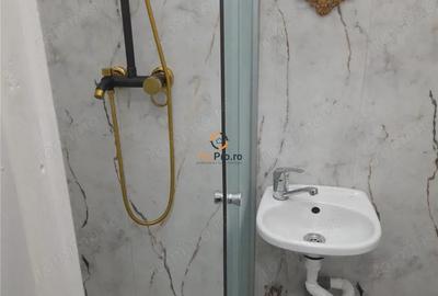 Garsonieră în Șagului