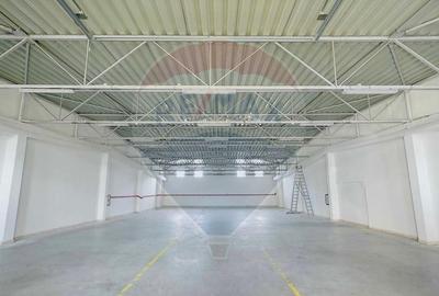 Spațiu industrial, de 10,129 mp, în Exterior Vest - 16