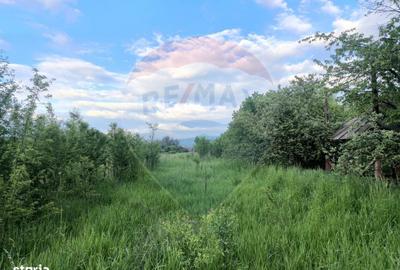Casă cu 4 camere în Valea Cufundoasă - 4