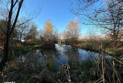 Spațiu comercial, în Lăpuș