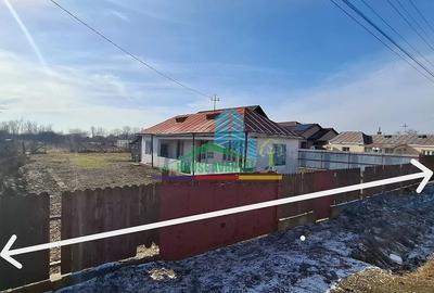 Casă cu Teren 3860 Mp în Bizighești