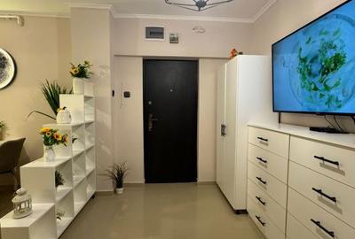 Apartament cu 2 camere semidecomandat, mobilat în Tineretului - 1