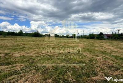 Casă cu 3 camere cu Teren 6997 Mp în Bughea de Sus - 13