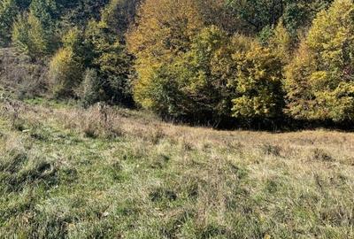 Teren Construcții intravilan de 3938 mp, în Morilor - 8