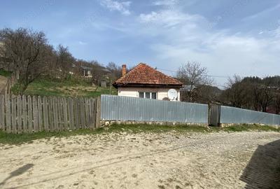 Casă cu 4 camere cu Teren 910 Mp în Nistorești - 2