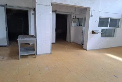 Spațiu comercial, de 50 mp, în Carani - 1