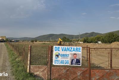 Teren de 1000 mp, în Viișoara