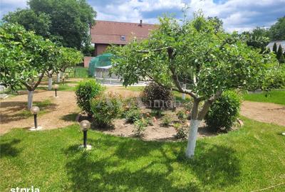 Teren de 530 mp, în Mărgineni - 6