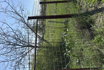 Teren de 1600 mp, în Stupărei