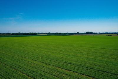 Teren agricol extravilan de 488600 mp, în Zăbrani - 2