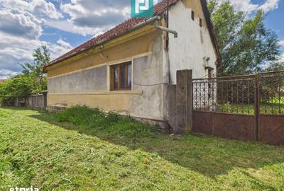 Casă cu 3 camere cu Teren 2341 Mp în Gurahonț