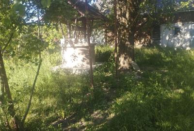 Casă cu 2 camere în Buciumi - 6