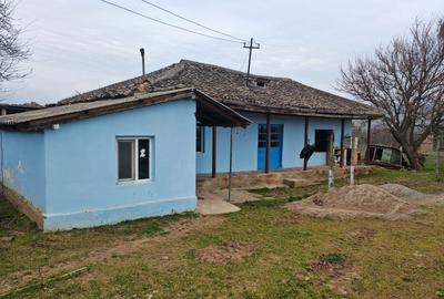 Casă cu 4 camere cu Teren 4208 Mp în Cerna