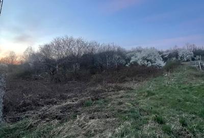 Teren Construcții intravilan de 2200 mp, în Independenței