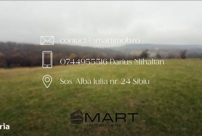 Spațiu comercial, în Cisnădioara - 2