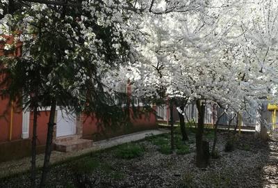 Casă cu 3 camere cu Teren 864 Mp în Siliștea - 6