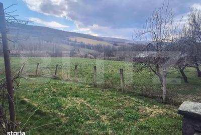 Casă cu 2 camere în Salatiu - 6
