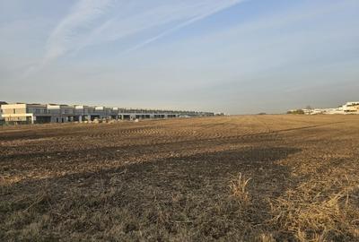 Teren Construcții intravilan de 50500 mp, în Tunari - 3