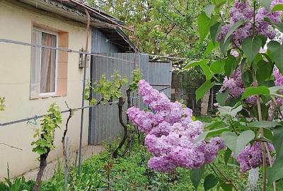 Casă cu 3 camere cu Teren 1000 Mp în Vânători - 10