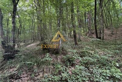 Spațiu comercial, în Valea Borcutului