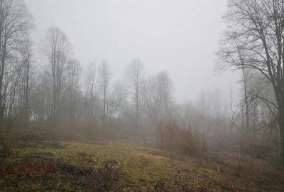 Teren de 3186 mp, în Vărmaga