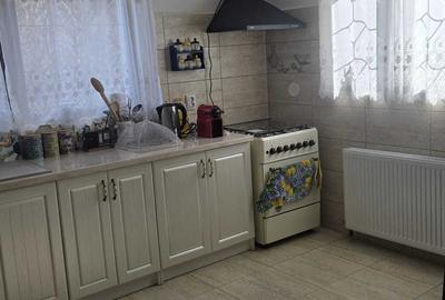 Casă cu 2 camere în Criș - 6