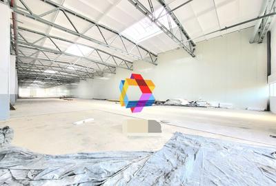 Spațiu industrial, de 2,376 mp, în Astra - 3