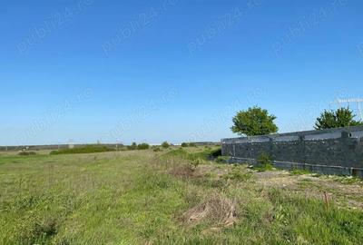 Teren de 3600 mp, în Ciorogârla - 3