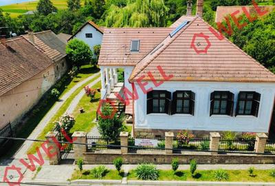 Casă cu 6 camere cu Teren 5000 Mp în Bățanii Mici - 3
