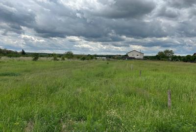Teren Construcții intravilan de 473 mp, în Albota - 5