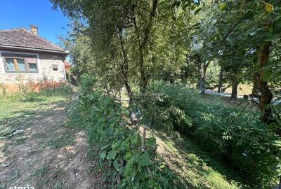 Casă cu 3 camere în Central