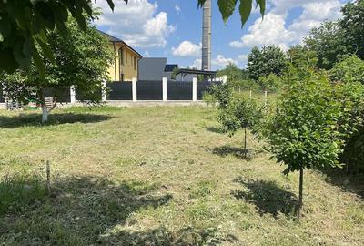 Teren de 700 mp, în Narcisa - 2