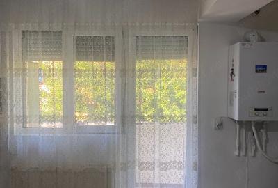 Apartament cu 2 camere decomandat în Giurgiului