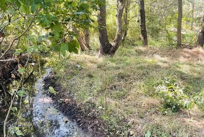 Teren de 5000 mp, în Valea Părului