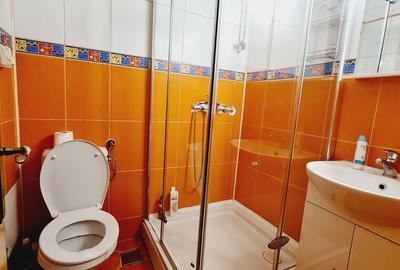 Apartament cu 4 camere decomandat în Piața Unirii - 10