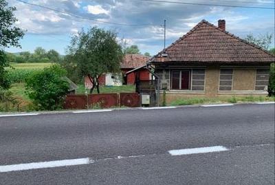Casă cu 2 camere în Ileanda