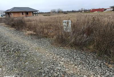Teren de 660 mp, în Viile Satu Mare - 4