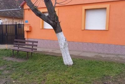 Casă cu 4 camere în Giarmata - 3